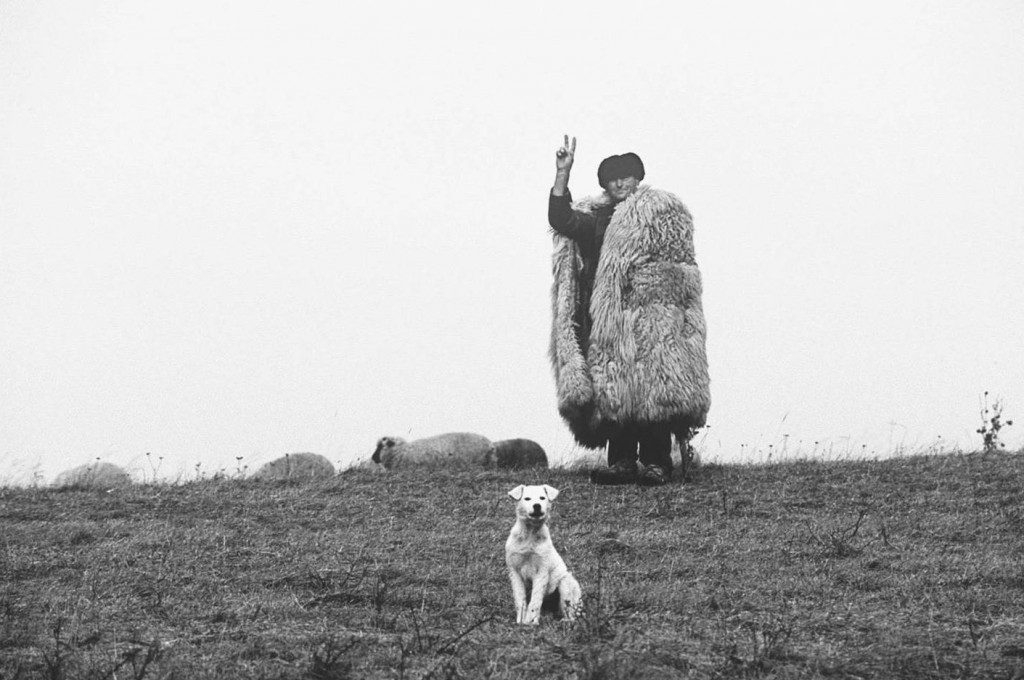 Das Victory-Zeichen eines rumänischen Hirten am Rande der Straße (Region Szilágyság/Sălaj, Rumänien im Dezember 1989)