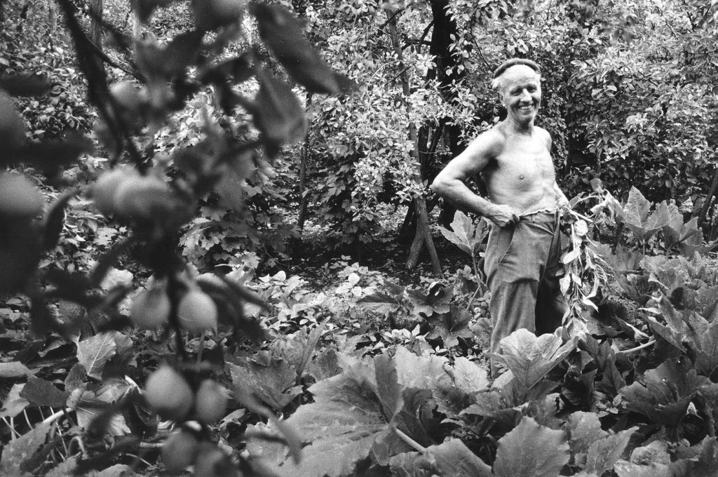 András Skarbit in seinem Garten in Tiszaeszlár