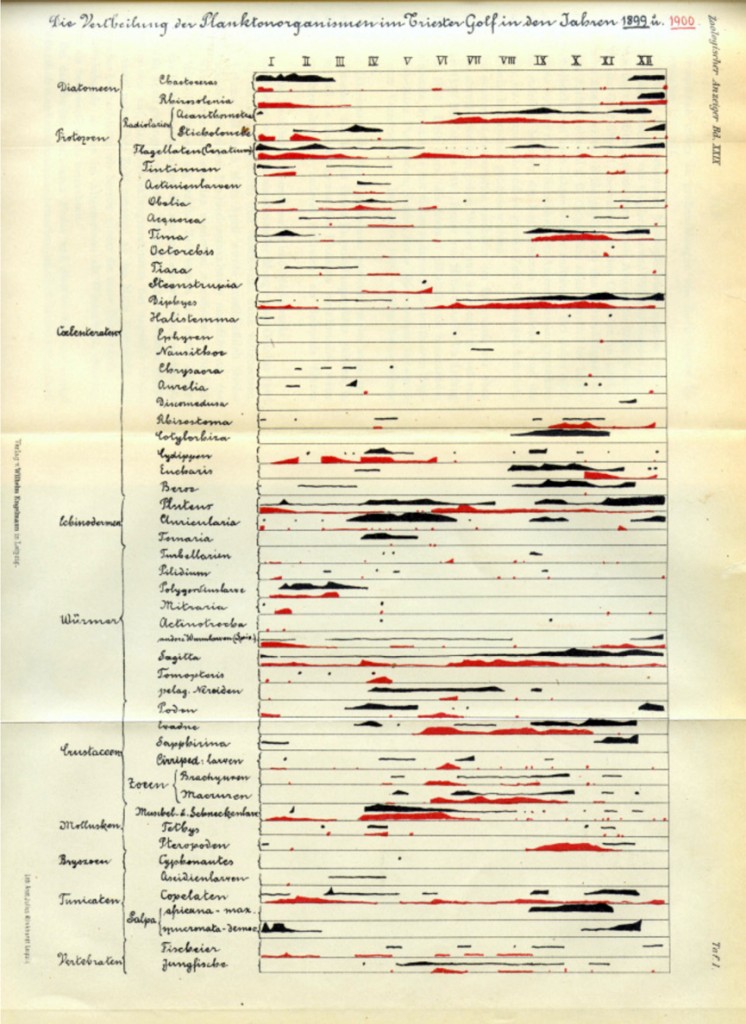  C. J. Cori/Adolf Steuer: Beobachtungen über das Plankton des Triester Golfes in den Jahren 1899 und 1900, in: Zoologischer Anzeiger, Band 24, 1901, S. 111-116, Quelle: Bildkulturen ökologischer Forschung / Cori Steuer© Die Beschreibung und Theoriebildung zur zeitlichen und räumlichen Dynamik des Planktons spielte in der aquatischen Ökologie immer eine zentrale Rolle und führte zu mannigfaltigen, zum Teil auch konkurrierenden visuellen Repräsentationen.