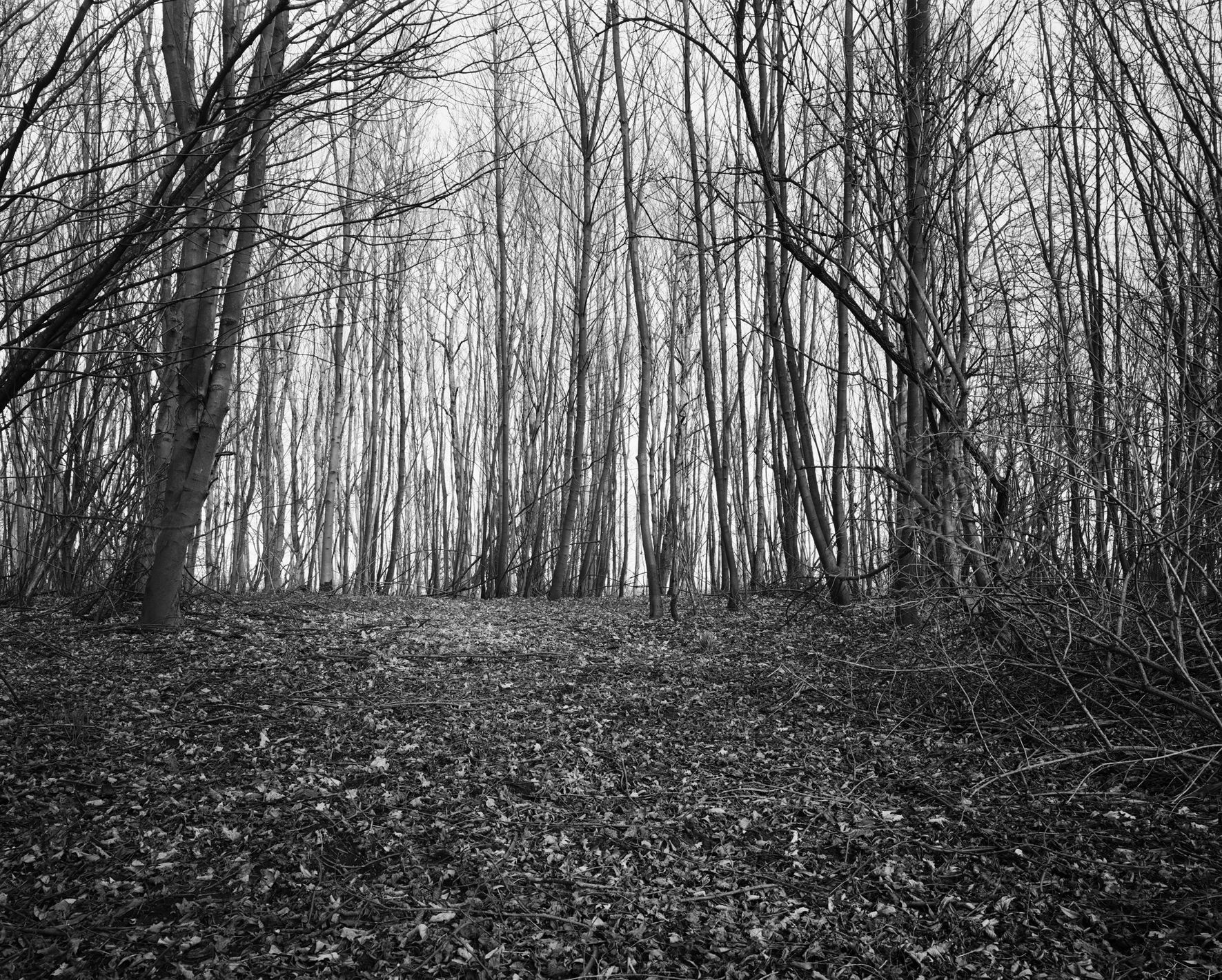 Anne Heinlein (Foto): „Zarrentin-Strangen, bebaut 1911, gewüstet 1972“ aus der Serie „Wüstungen“, 2010-2015, © Anne Heinlein